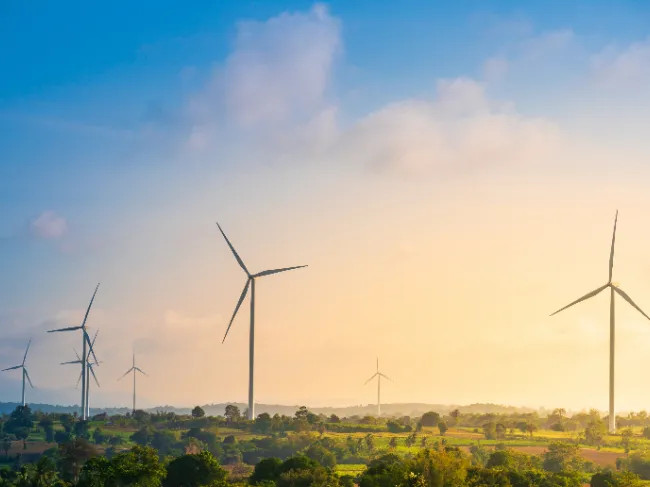 Image Source: Adobe Stock